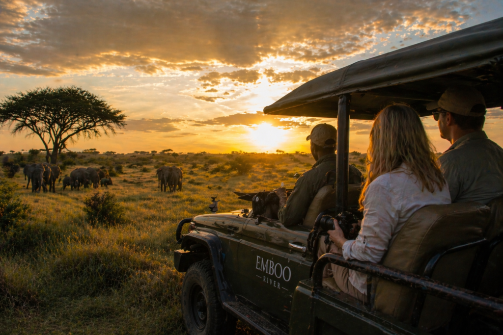 Tourists on a game drive at Maasai Mara watch elephants graze at sunset from an electric safari vehicle, bathed in golden light across the open savanna.